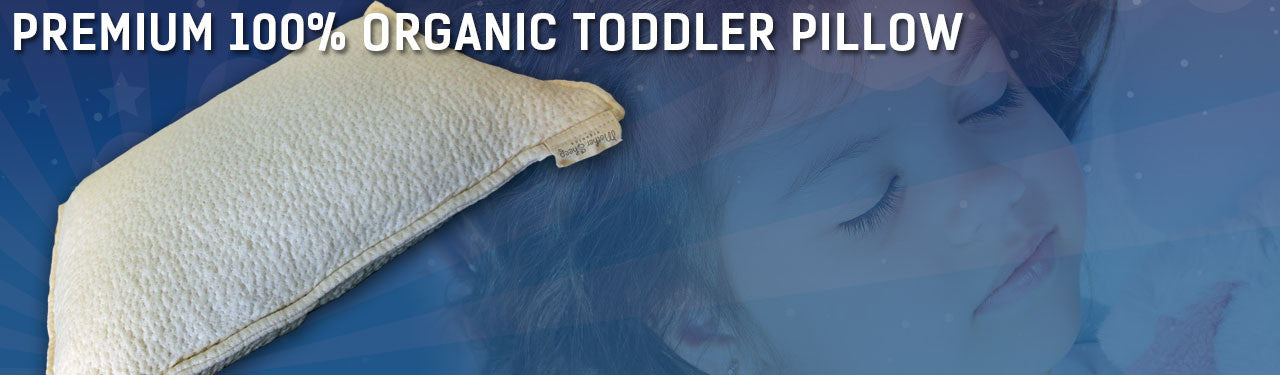 Premium 100% Organic Wool Toddler Pillow